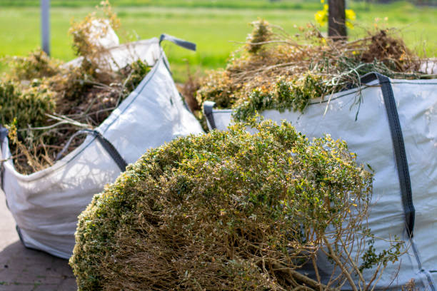 Full-Service Junk Removal in Wood Dale, IL