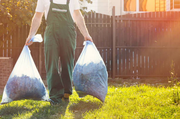 Best Same-Day Junk Removal  in Wood Dale, IL